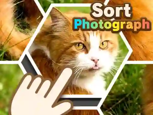 שפּיל Sort Photograph אָנליין