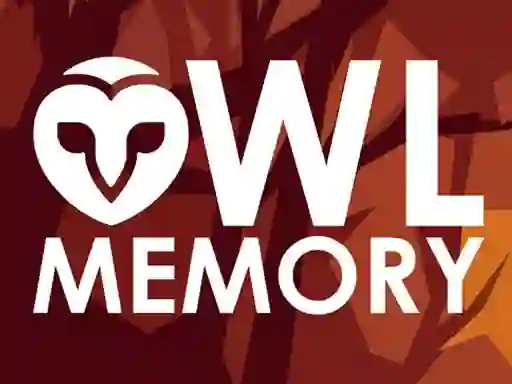 שפּיל Owl Memory אָנליין