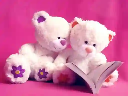 שפּיל Cute Teddy Bears Slide אָנליין