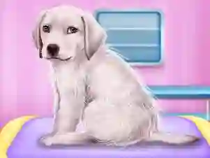 שפּיל Labrador at the doctor salon אָנליין