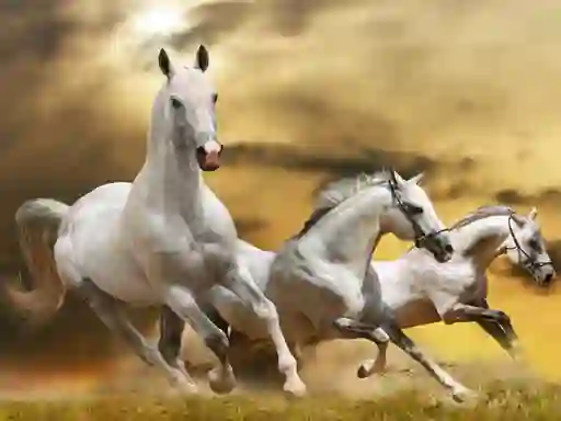 שפּיל Running Horse Slide אָנליין