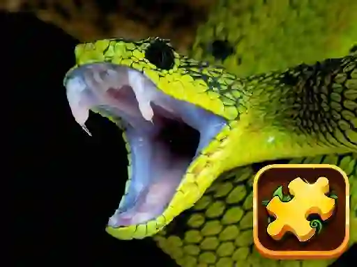 שפּיל Snake Puzzle Challenge אָנליין