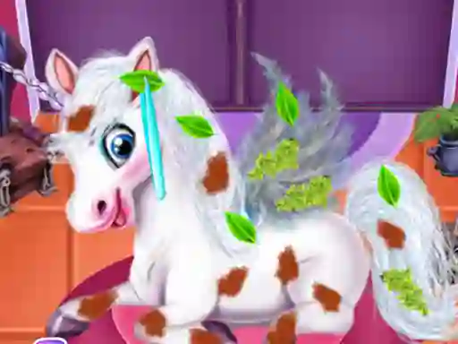 שפּיל Magic Pet Salon אָנליין
