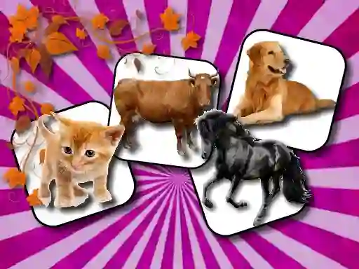 שפּיל Domestic Animal Memory Challenge אָנליין