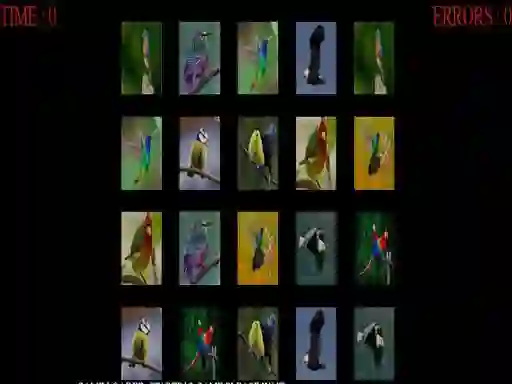שפּיל Memorize the birds אָנליין