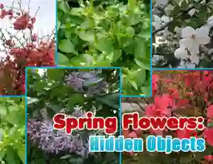 שפּיל Spring Flowers: Hidden Objects אָנליין