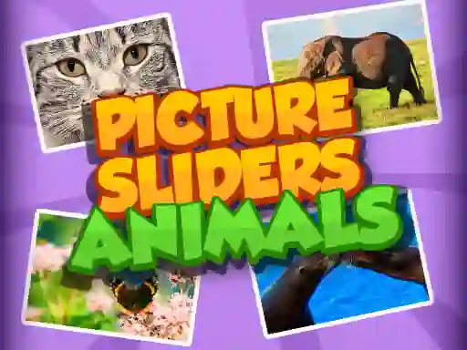 שפּיל Picture Slider Animals אָנליין