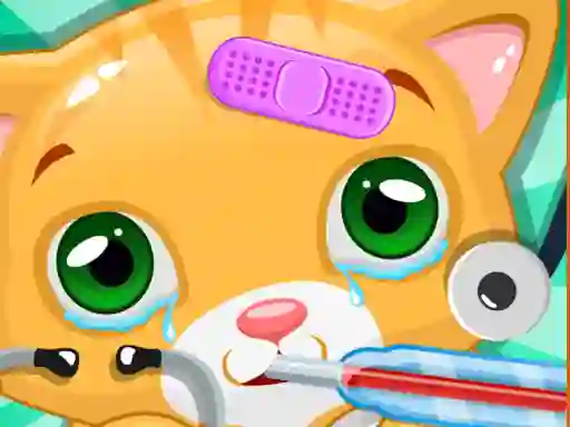 שפּיל Little Cat Doctor אָנליין