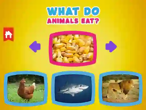 שפּיל What Do Animals Eat? אָנליין