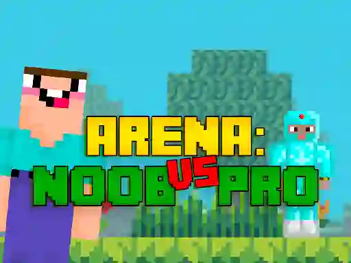 שפּיל Arena: Noob vs Pro אָנליין