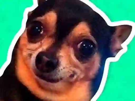 שפּיל What meme dog are you ? אָנליין