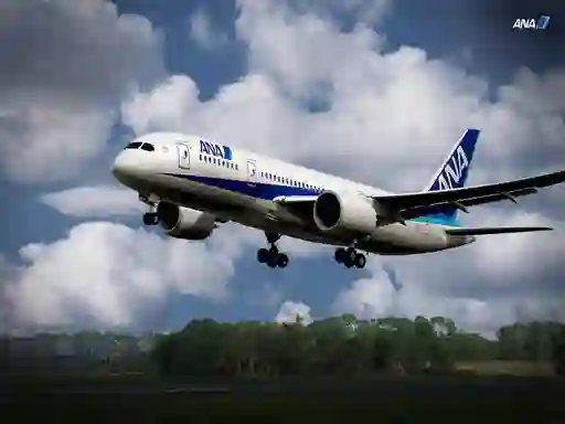 שפּיל Boeing Dreamliner Puzzle אָנליין