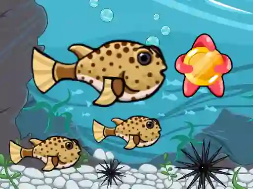 שפּיל Run Fish Run אָנליין