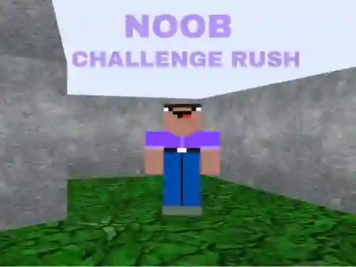 שפּיל Noob Challenge Rush אָנליין