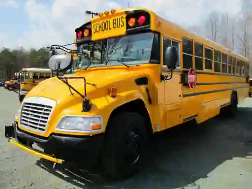 שפּיל School Buses Puzzle אָנליין