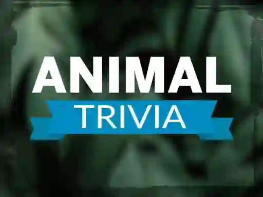שפּיל Animal Trivia אָנליין