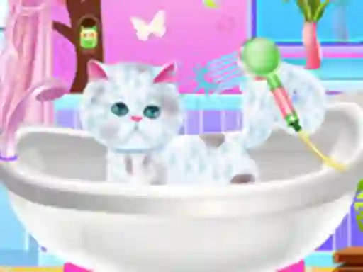 שפּיל Excellent Pet Groomer אָנליין