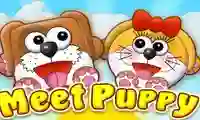 שפּיל Meet Puppy אָנליין