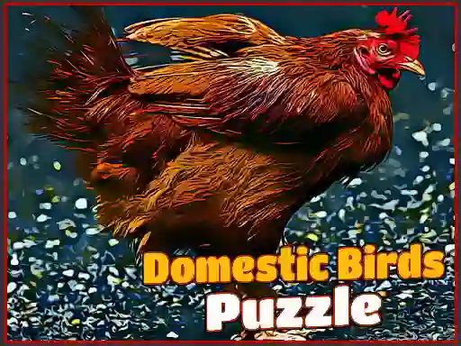 שפּיל Domestic Birds Puzzle אָנליין