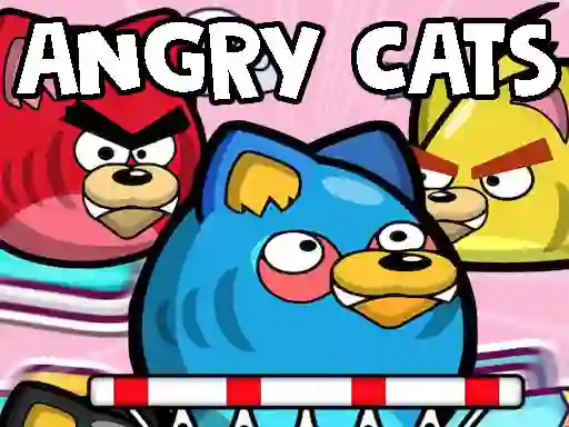 שפּיל Angry Cats אָנליין