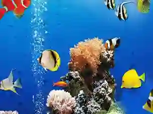 שפּיל Sea Underwater Difference אָנליין