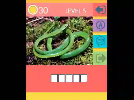 שפּיל 15 Picture Quiz אָנליין