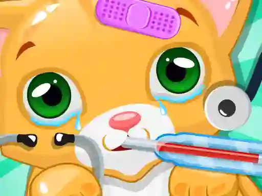 שפּיל Kitty Doctor אָנליין