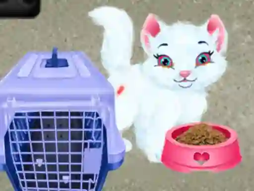 שפּיל Baby Taylor Pet Care אָנליין