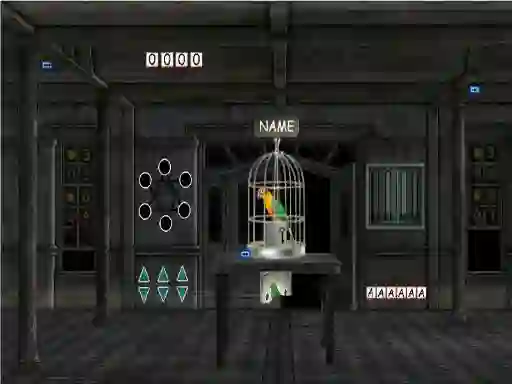 שפּיל Parrots Escape אָנליין
