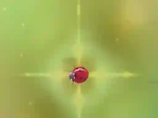 שפּיל Pest Control אָנליין