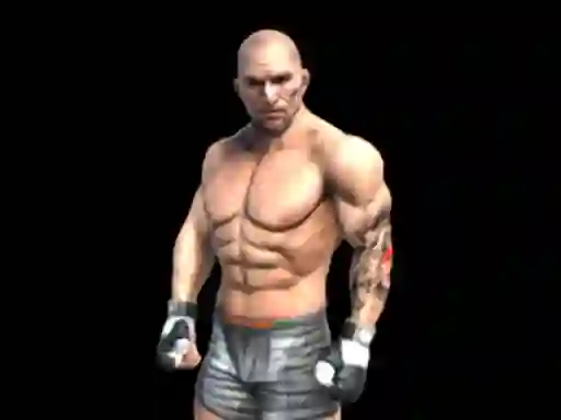 שפּיל Fight Arena Online אָנליין