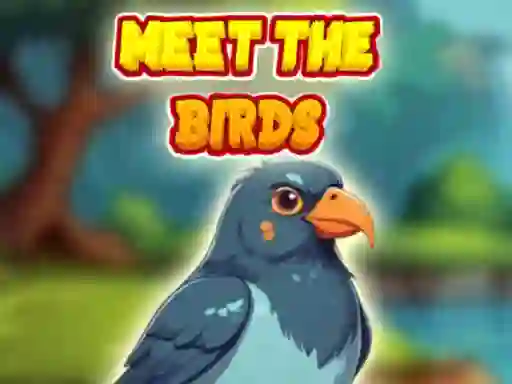 שפּיל Meet The Birds אָנליין