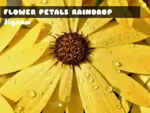 שפּיל Flower Petals Raindrop Jigsaw אָנליין