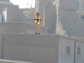 שפּיל עיצַארעּפָא רעּפיינס  אָנליין