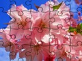 שפּיל סרעווָאלפ :שינעטער געזבָאל  אָנליין