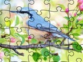 שפּיל גנילירפ :שינעטער שינעטער  אָנליין