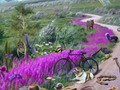 שפּיל געטש ןדניוושרַאפ  אָנליין
