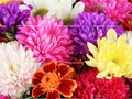 שפּיל עלזזוּפ גָאט ס רעדַאמ 2019  אָנליין
