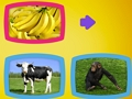 שפּיל ?סלַאמינַא ןסע סָאוו  אָנליין