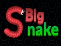 שפּיל .גנַאלש סיורג io  אָנליין