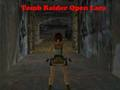 שפּיל Tomb Raider ַארַאל ןֿפע  אָנליין