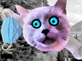 שפּיל סקסַאמ ןייד ןבַיילק  אָנליין