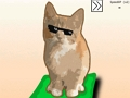 שפּיל Cat ךעַייש רעקילק אָנליין