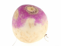 שפּיל עווקורב  אָנליין