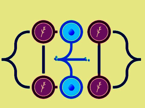 שפּיל סּפייּפ  אָנליין