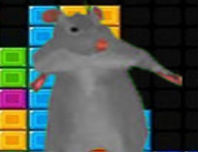 שפּיל Ratomilton Follow Bless  אָנליין